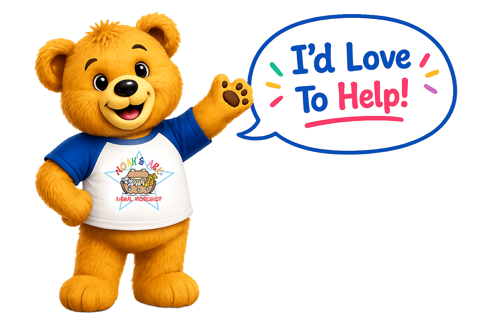 Noah Bear offering to help with questions