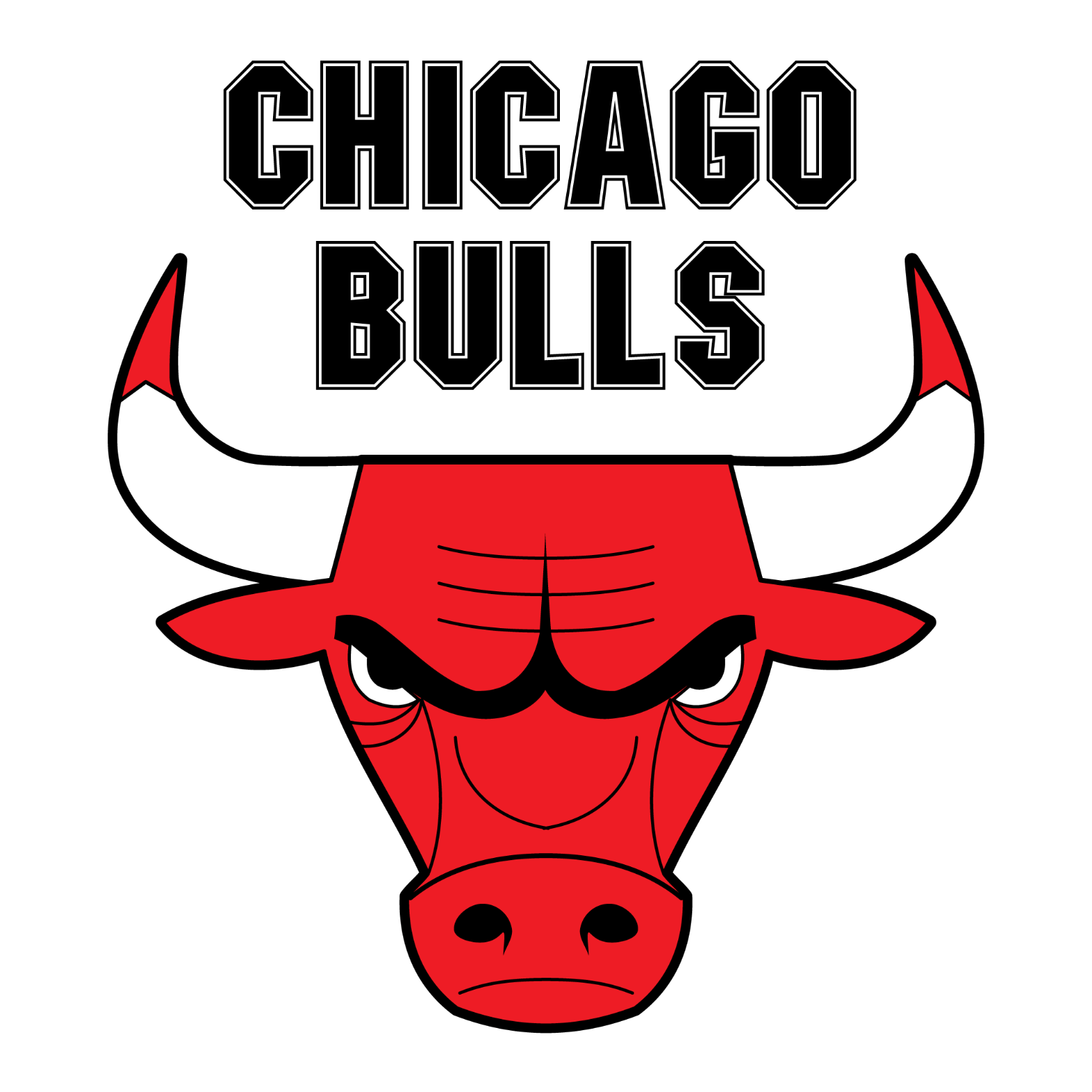 Chicago Bulls