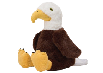 Summer 2026 American Wild collection