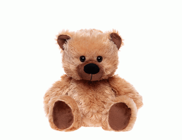 Webb Teddy Bear
